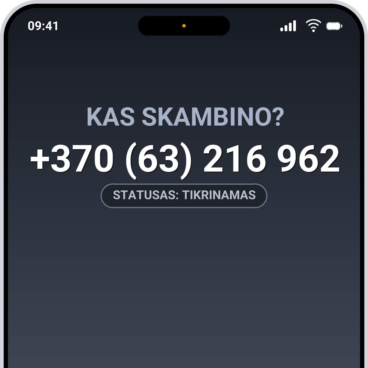 +370 (63) 216 962 – kas paskambino? Numerio patikrinimas